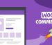 ürün hediye eklentisi wordpress